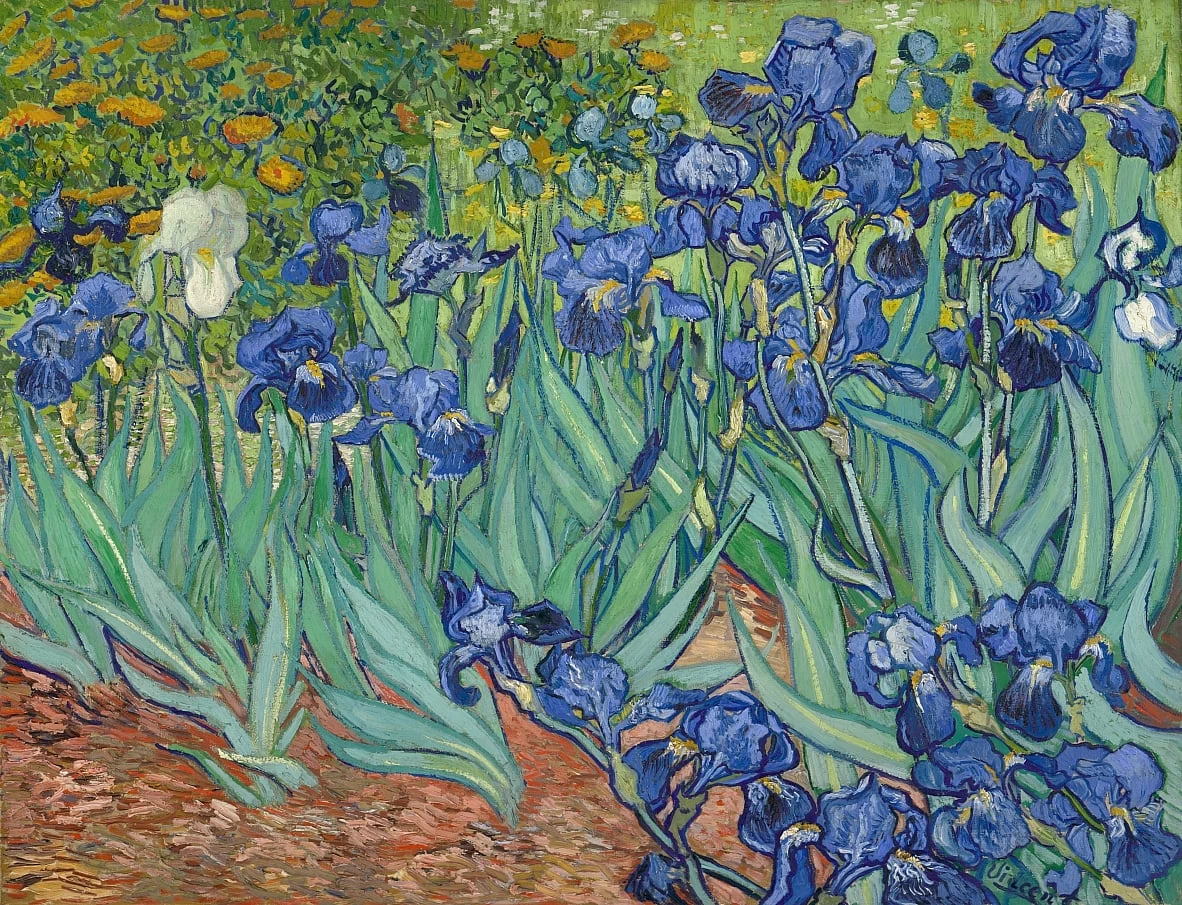 119-Vincent van Gogh-iris, 1889 